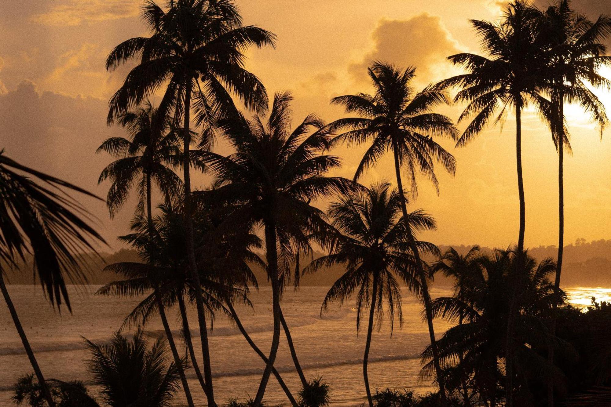Lucky'S Surf Camp Bed & Breakfast Weligama Eksteriør bilde