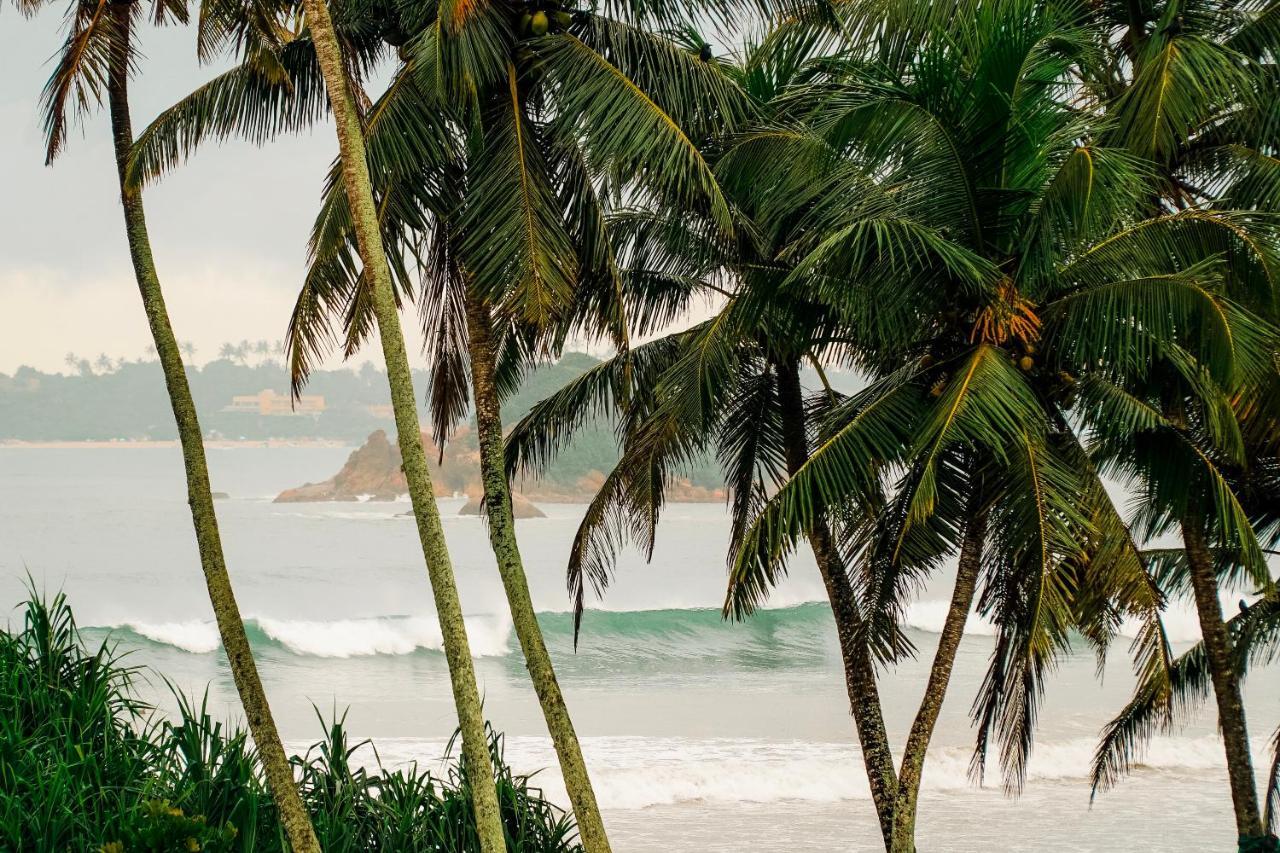 Lucky'S Surf Camp Bed & Breakfast Weligama Eksteriør bilde
