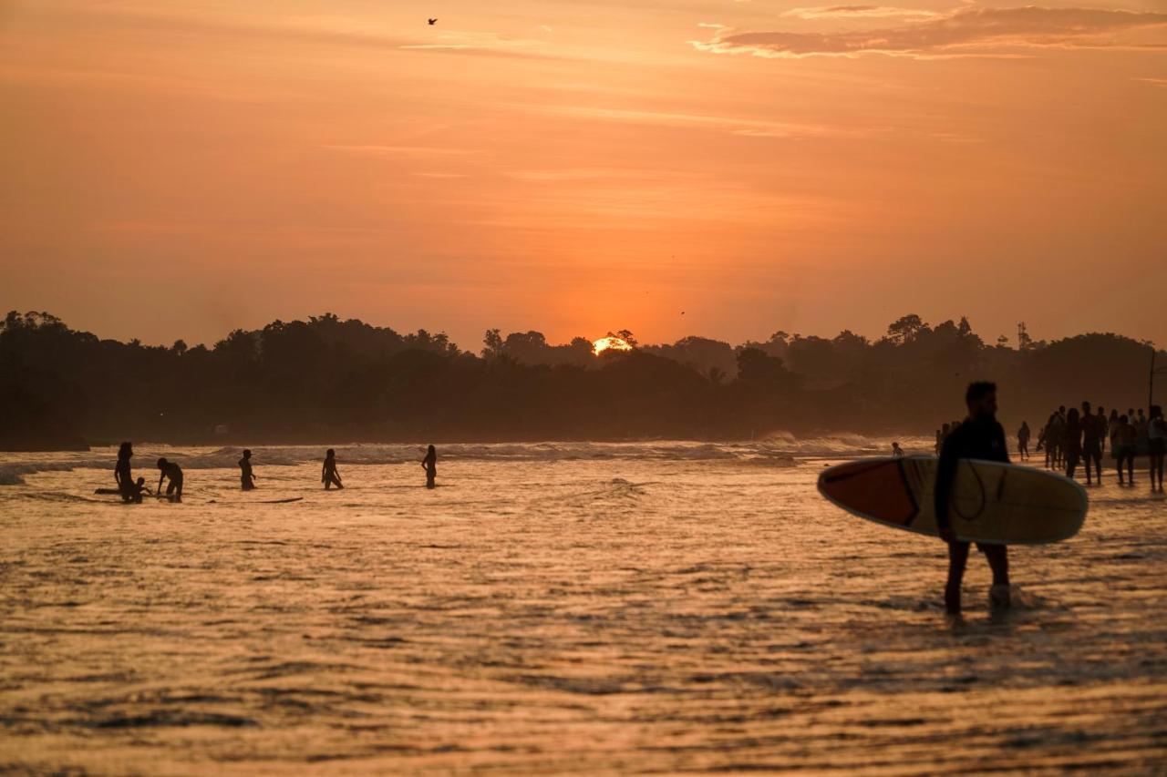 Lucky'S Surf Camp Bed & Breakfast Weligama Eksteriør bilde